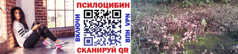 цена   Энгельс  гидра рабочий сайт  даркнет телеграм  Псилоцибиновые грибы Magic Shrooms 
